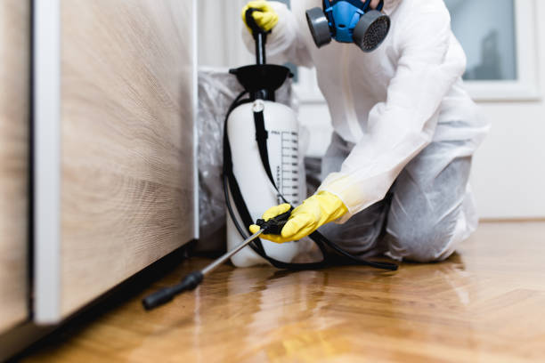 Trusted Stockton, IL Pest Control Experts