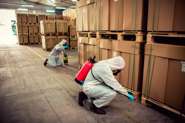 Best Best Pest Control Companies  in Stockton, IL