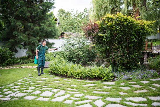 Best Local Pest Control Services  in Stockton, IL