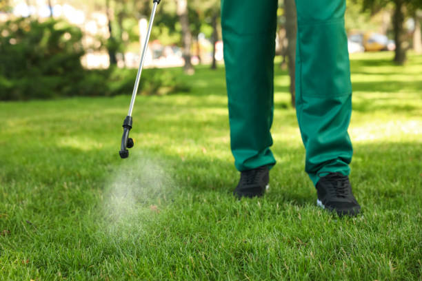 Best Bed Bug Extermination  in Stockton, IL