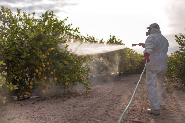 Insect Control in Stockton, IL