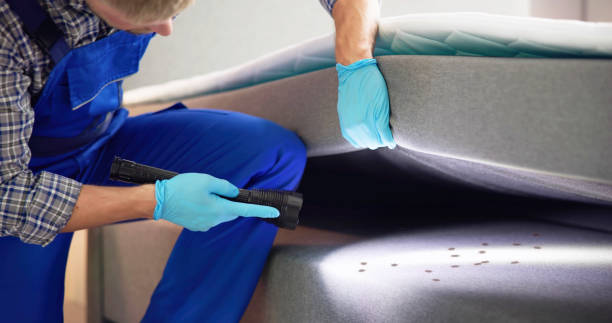 Best Pest Removal Services  in Stockton, IL