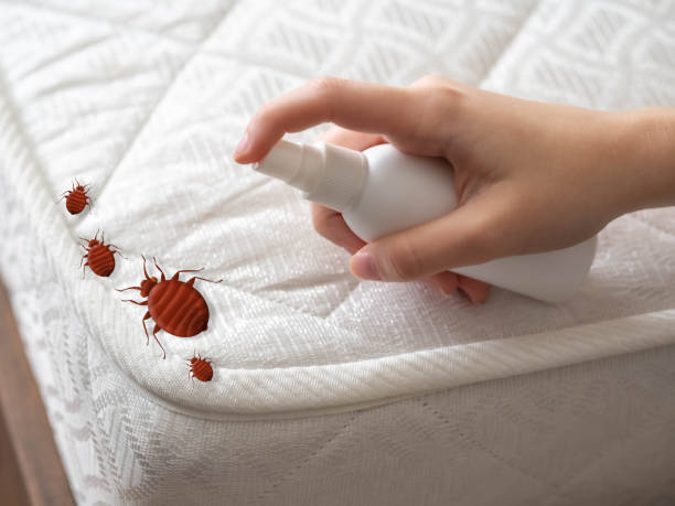 Best Emergency Pest Control  in Stockton, IL