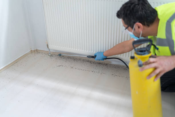 Best Termite Control Services  in Stockton, IL