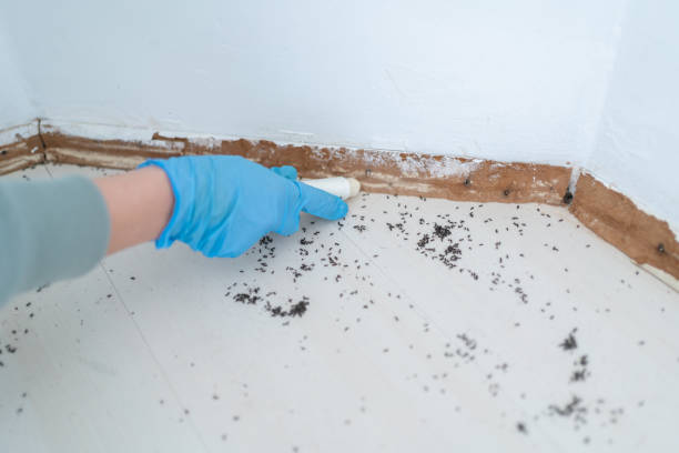 Best Wildlife Control Services  in Stockton, IL